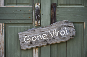 How to Gain High Quality and Engaged Followers and Leads on Twitter